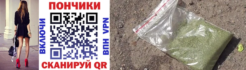 Каннабис план  Купить  Нальчик 